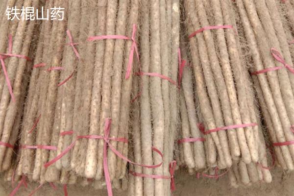 山药产于哪里，在我国主产于河南、安徽等省份