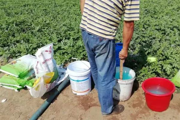 生物肥与水溶肥有什么区别，定义、成分、用法均不同