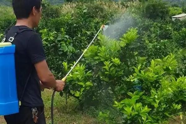 生物肥与水溶肥有什么区别，定义、成分、用法均不同