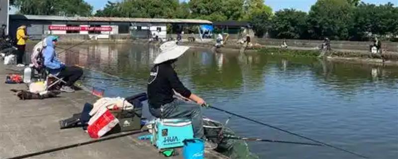 十大经典浮漂的简介，阿卢浮漂因灵敏稳定、做工精良而备受青睐