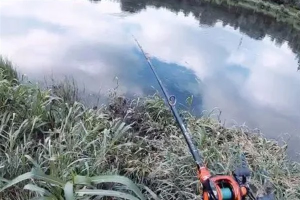 早上钓鱼是不是钓浅，温度适中时钓浅更合适