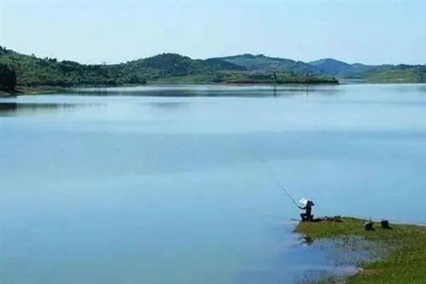 早上钓鱼是不是钓浅，温度适中时钓浅更合适