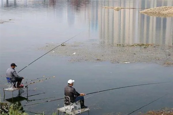 早上钓鱼是不是钓浅，温度适中时钓浅更合适
