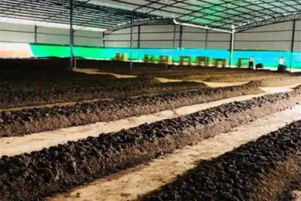 蚯蚓的生活习性,其喜阴暗、潮湿、安静等