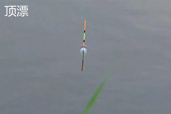 草鱼吃钩有什么表现,常见漂相是顶漂和黑漂