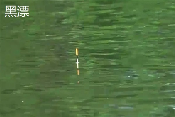 草鱼吃钩有什么表现,常见漂相是顶漂和黑漂