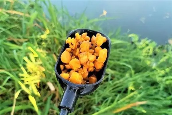 草鱼吃钩有什么表现,常见漂相是顶漂和黑漂