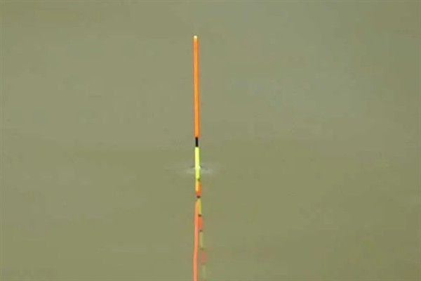 草鱼吃钩有什么表现,常见漂相是顶漂和黑漂