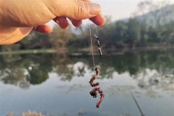 钓鳟鱼的钓法，可用真饵钓法或拟饵钓法