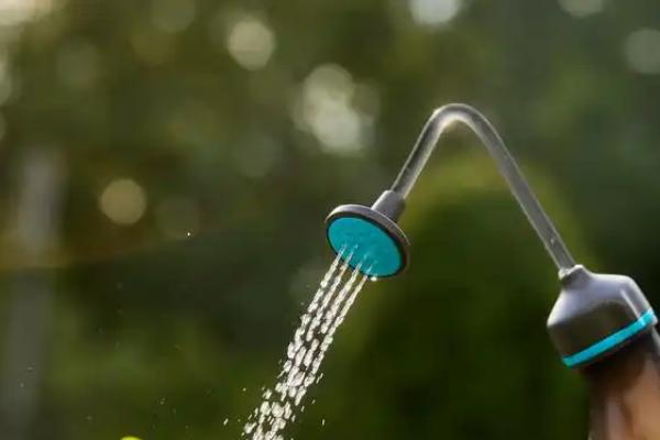 孔雀草一天要浇水几次，一天要浇1-2次水