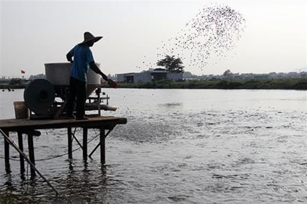 沟鲶鱼的产地，原产地在美洲