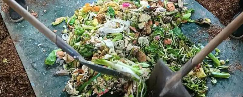 厨余垃圾堆肥后能不能滋养土壤，经过发酵处理后可作为肥料使用