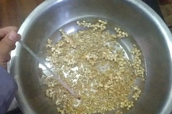 樱桃西红柿的种植时间，春西红柿在晚霜期后定植