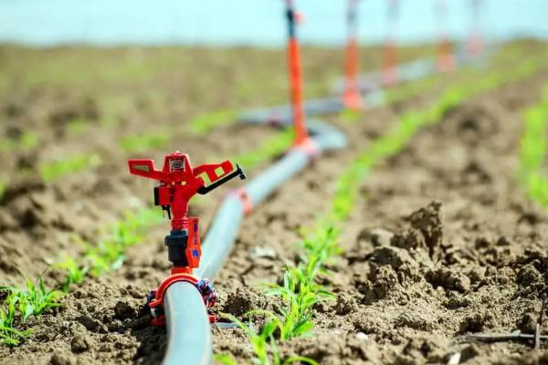 滴灌技术有什么优点,能起到节水、节肥、节能等作用