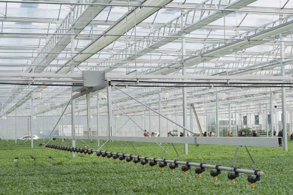 滴灌技术有什么优点,能起到节水、节肥、节能等作用