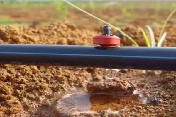 滴灌技术有什么优点,能起到节水、节肥、节能等作用