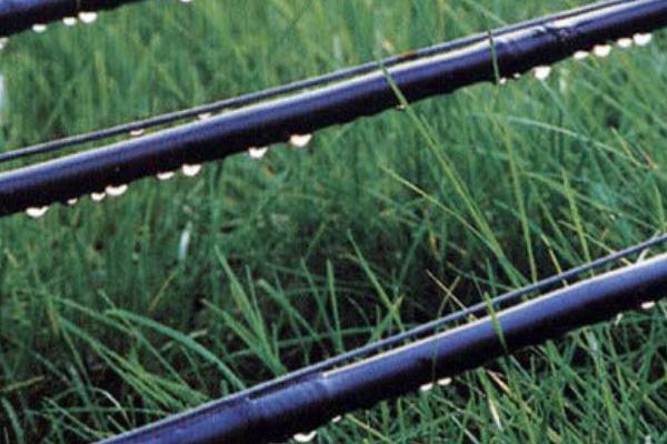 滴灌技术有什么优点,能起到节水、节肥、节能等作用