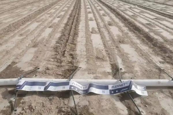 滴灌技术有什么优点,能起到节水、节肥、节能等作用