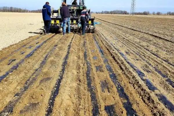 滴灌技术有什么优点,能起到节水、节肥、节能等作用