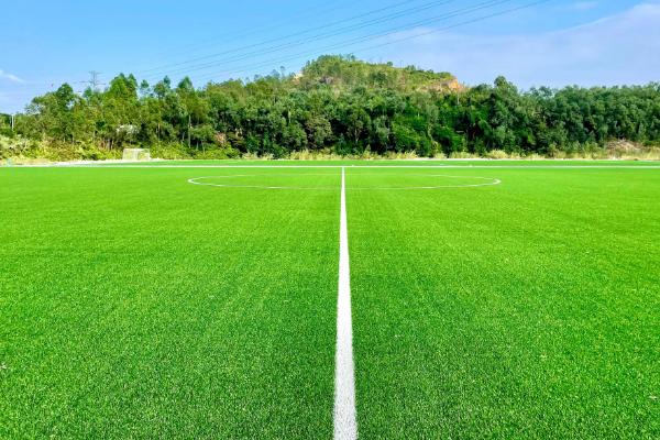 绿化草坪的品种类型，常见马尼拉、百慕大、台湾草等品种