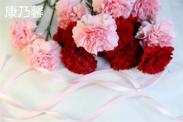 正常异性朋友送什么花合适，推荐百合花、郁金香等