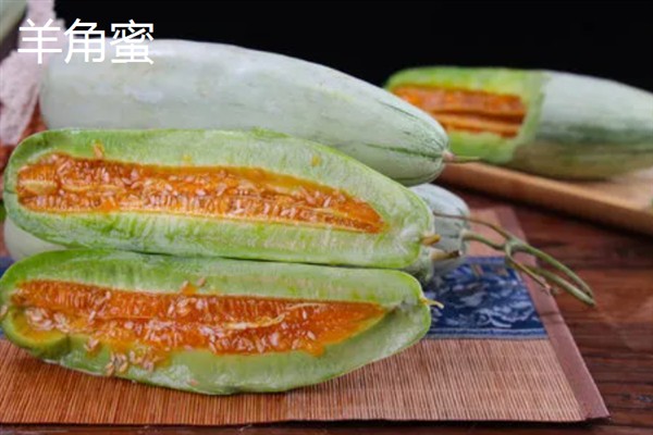 甜瓜的生长过程，分为发芽期、幼苗期、伸蔓期和结瓜期