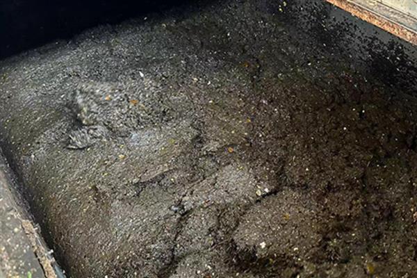 厨余垃圾堆肥后能不能滋养土壤，经过发酵处理后可作为肥料使用