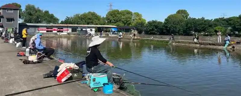 初秋用蚯蚓钓鱼好不好，白天效果一般但晚上的效果很理想