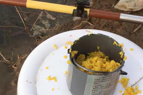 初秋用蚯蚓钓鱼好不好，白天效果一般但晚上的效果很理想