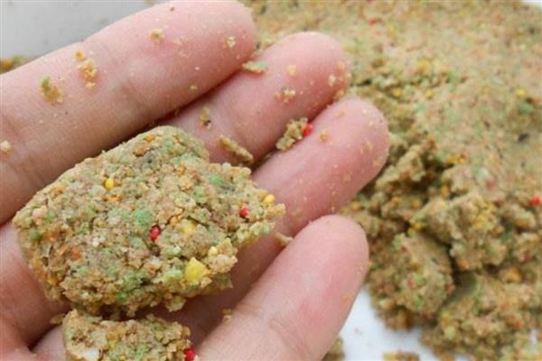 初秋用蚯蚓钓鱼好不好，白天效果一般但晚上的效果很理想