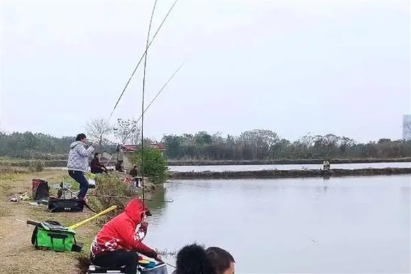 初秋用蚯蚓钓鱼好不好，白天效果一般但晚上的效果很理想