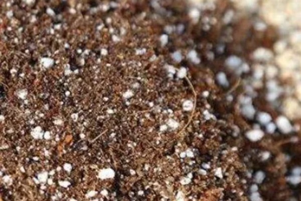 工地上的沙子能不能栽培多肉，可以使用河沙但不能使用海沙