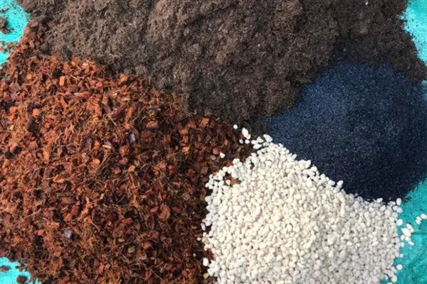 工地上的沙子能不能栽培多肉，可以使用河沙但不能使用海沙