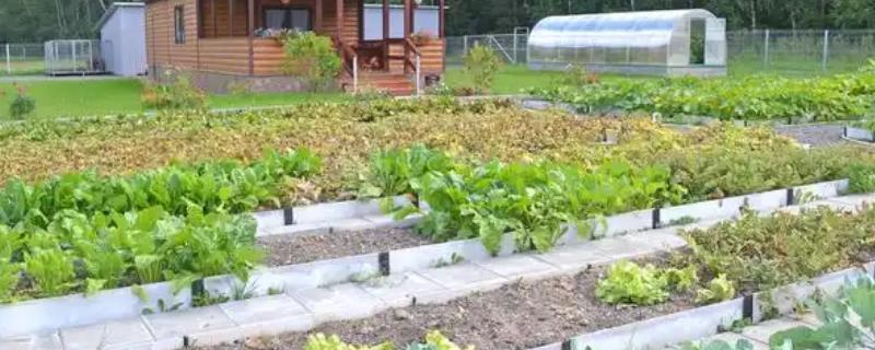 小型农场一般是多少亩，有80亩、40亩、10亩三种规模