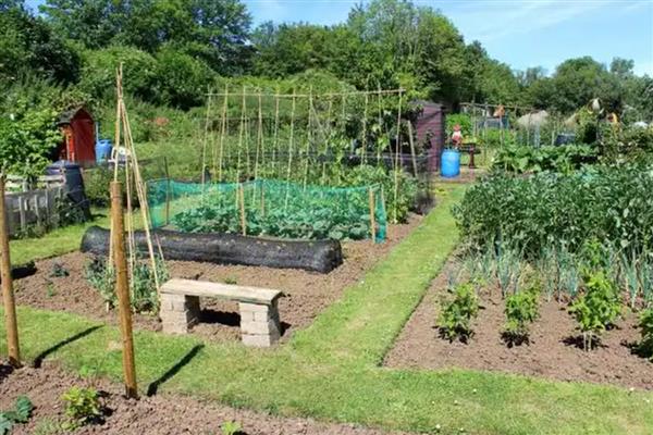 小型农场一般是多少亩，有80亩、40亩、10亩三种规模