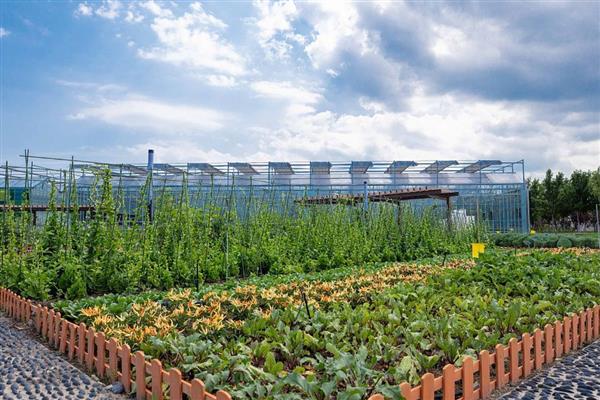 小型农场一般是多少亩，有80亩、40亩、10亩三种规模