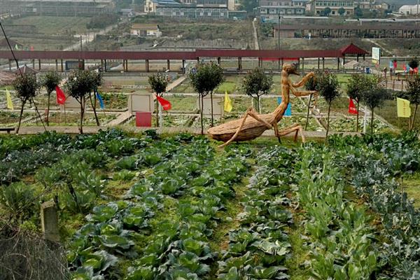 小型农场一般是多少亩，有80亩、40亩、10亩三种规模