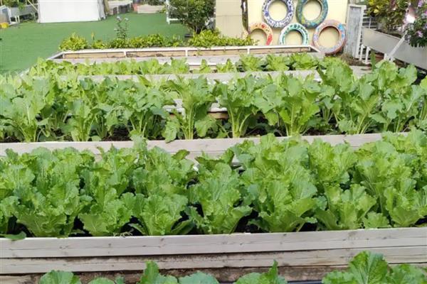 小型农场一般是多少亩，有80亩、40亩、10亩三种规模