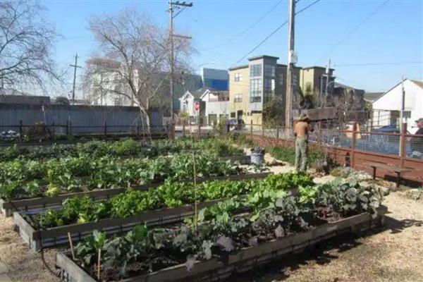 小型农场一般是多少亩，有80亩、40亩、10亩三种规模