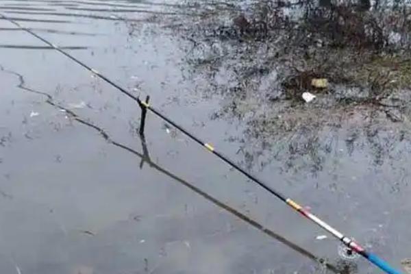 谷麦钓法是指什么，是指用谷麦做饵料的钓鱼技法