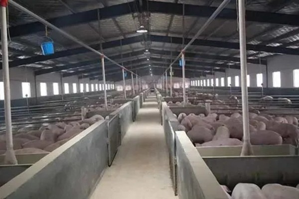 猪舍冬季怎么保暖，使用供热设备可提高温度