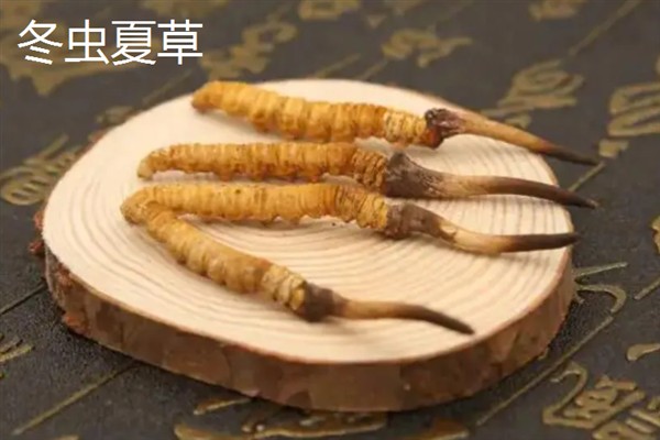 种哪些药材可以赚钱，金银花、桔梗、重楼等品种是适宜选择