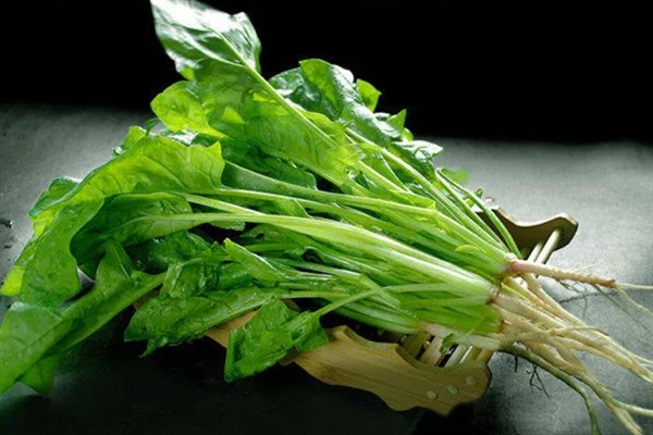仓鼠不能吃的蔬菜品种，菠菜、芹菜、大黄叶等都不能吃