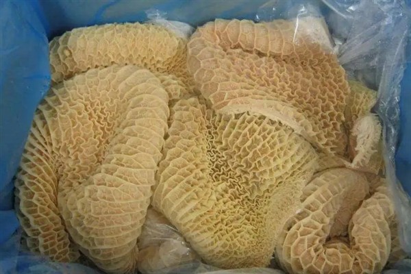 牛有哪些主要特征，其体质比较强壮