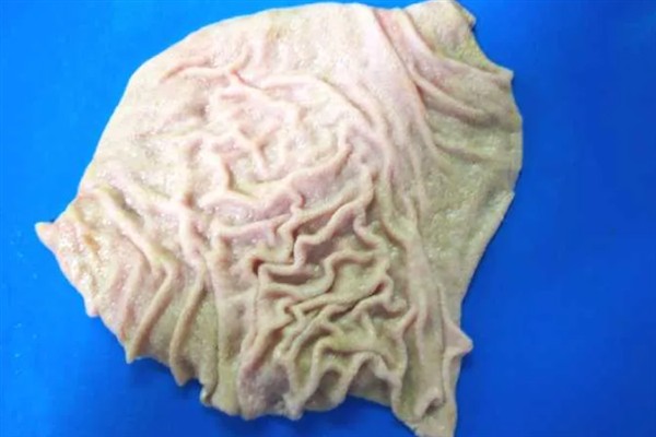 牛有哪些主要特征，其体质比较强壮