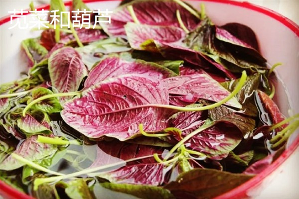 夏至吃哪些食物，推荐夏至蛋、热面等