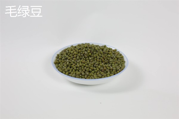明绿豆与毛绿豆的区别，前者呈翠绿色、后者呈暗绿色或黄绿色
