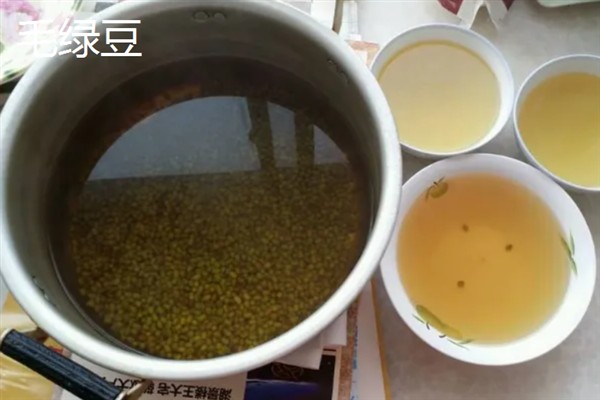 明绿豆与毛绿豆的区别，前者呈翠绿色、后者呈暗绿色或黄绿色