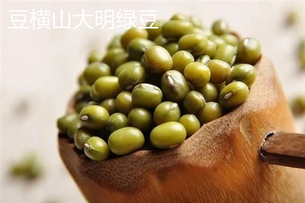 明绿豆与毛绿豆的区别，前者呈翠绿色、后者呈暗绿色或黄绿色