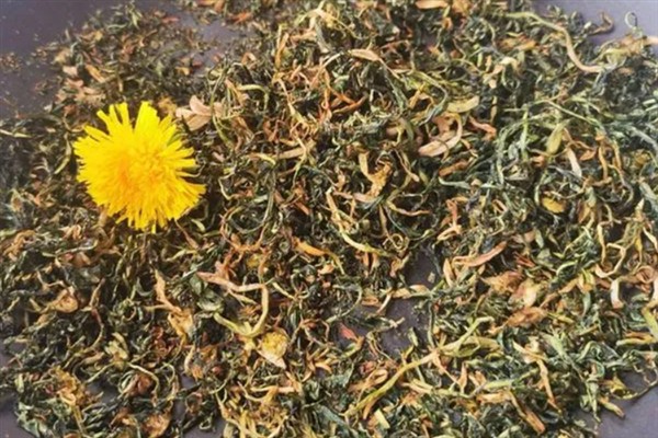 蒲公英一亩地产几斤,一亩能产6000-8000斤